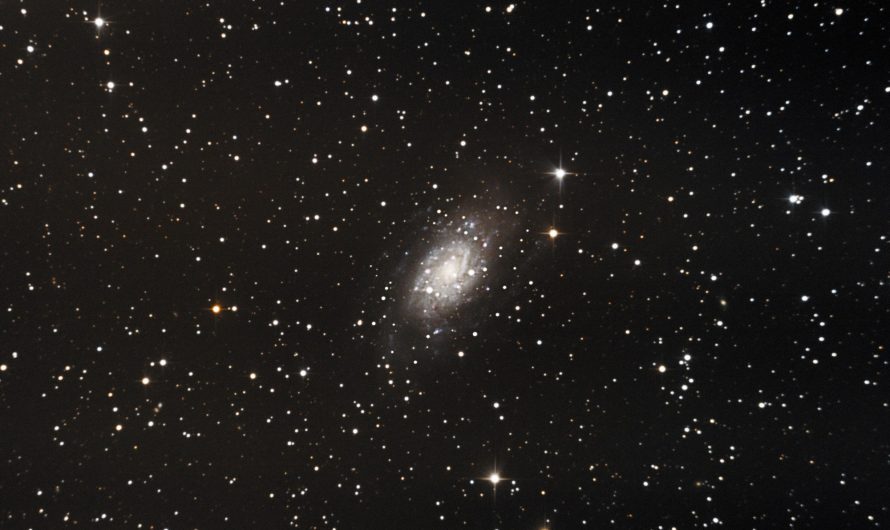 NGC2403