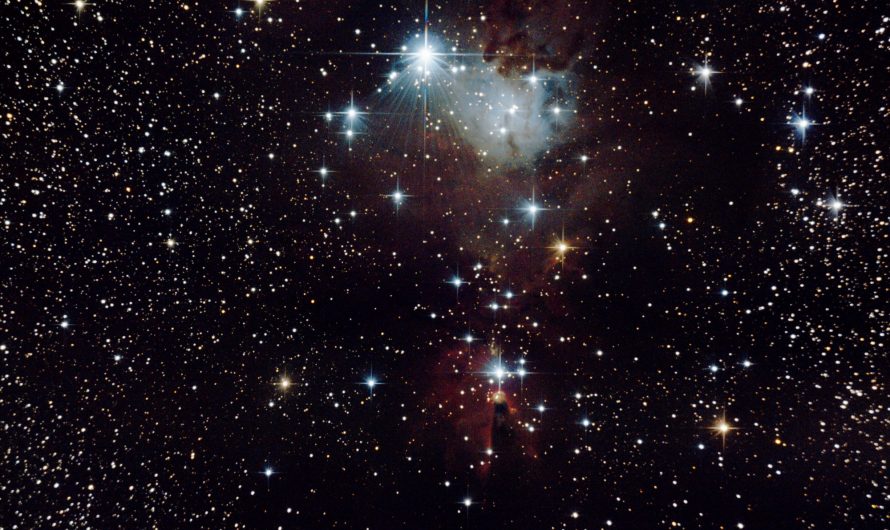 NGC2264 L’amas de l’arbre de Noël